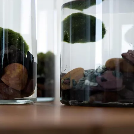 Piccola Maesta' Boutique アパートホテル 4*