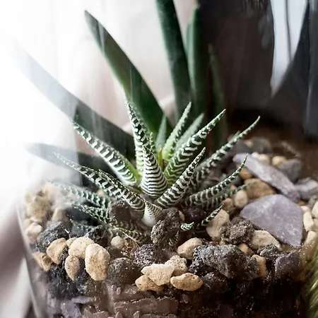 アパートホテル Piccola Maesta' Boutique チヴィタノーヴァ・マルケ