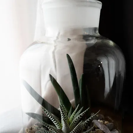 Piccola Maesta' Boutique